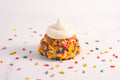 Double Decker Confetti Cake Batter